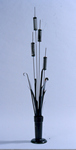 Cattails - Click to Enlarge