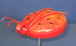 Lady Bug - Click to Enlarge