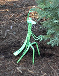 Praying Mantis - Click to Enlarge